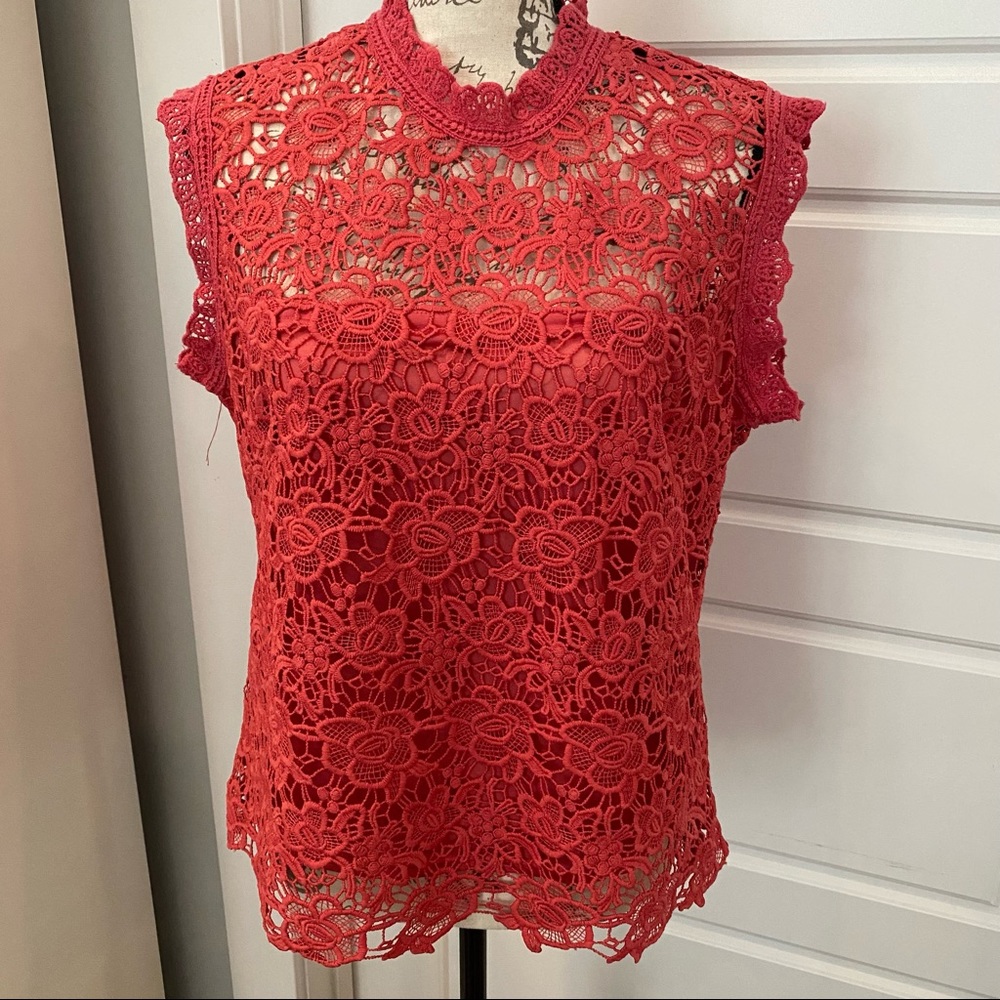 Nanette gorgeous salmon-color lined lace camisole